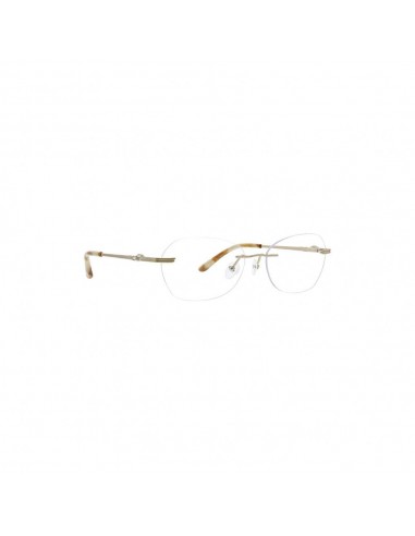 Jenny Lynn JLDIGNIFIED Eyeglasses une grave pollution 