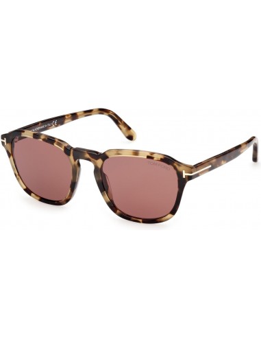 Tom Ford Avery 0931 Sunglasses destockage