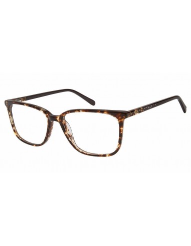 Phoebe PHO-P290 Eyeglasses Amélioration de cerveau avec